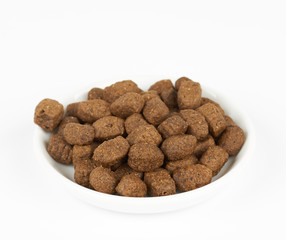 Dog food on plate