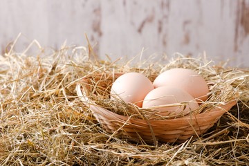 Three eggs in a straw nest