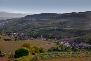 Oberbergen Schelingen Kaiserstuhl