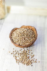 Hemp seeds in a coconut shell