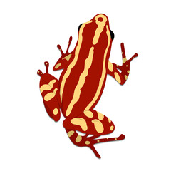 Phantasmal poison frog, flat design. Vector illustration of red frog on white background. Poisonous frog. Isolated tree frog epipedobates tricolor, top view