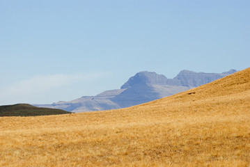 Fototapeta premium Drakensberg Dragon mountains landscape in South Africa