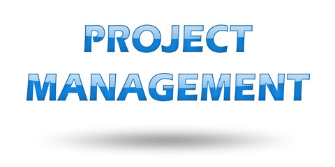 Text Project Management with blue letters and shadow. 