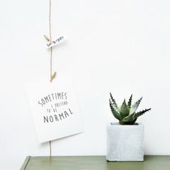 Hipster scandinavian home interior decoration. Succulent and postcard garland over white wall. 