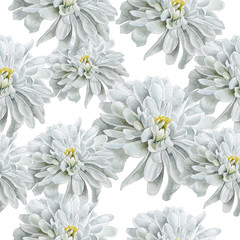 Seamless pattern with flowers. Chrysanthemum. Watercolor.