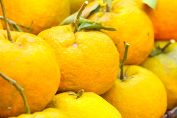 Big orange for sell at market.