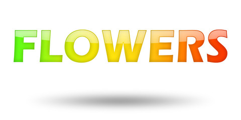 Text FLOWERS with colorful letters and shadow. 
