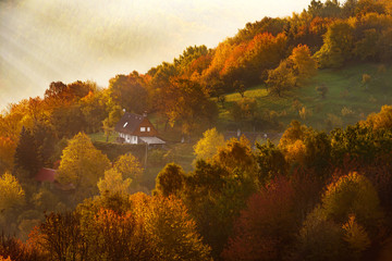 Obraz premium Autumn in countryside