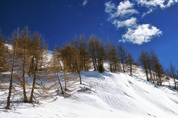 Alpine Alps mountain landscape
