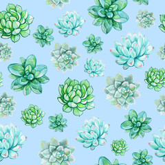 Succulent seamless pattern on a light blue background