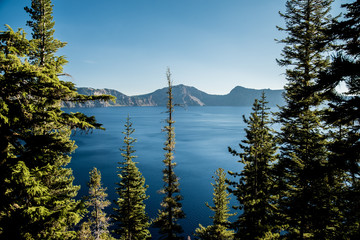 Forest Lake © RyanTangPhoto