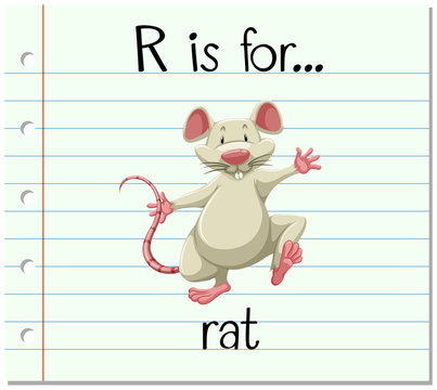 Flashcard letter R is for rat