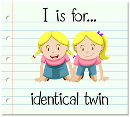Flashcard letter I is for identical twin
