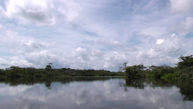 A serene wide shot of a still river in lush tropical rainforest in the Cuyabeno Amazon, Ecuador, dense green trees and a partly cloudy sky mirrored in the water as the camera glides forward.