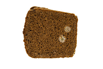 mold on bread  