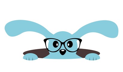 Cute bunny with glasses in a hole. Isolated