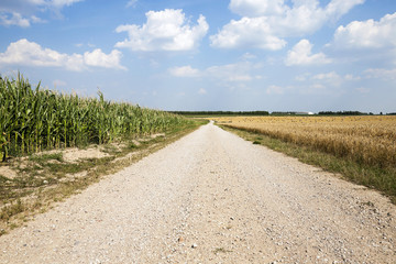 road in a field  