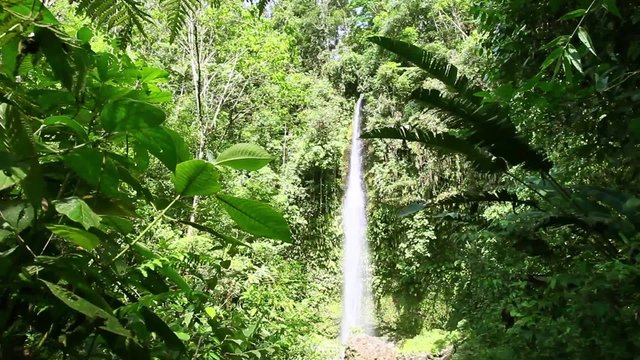 Discover the captivating beauty of Puyo City's must see tourist attraction,an essential experience in the Ecuadorian rainforest.