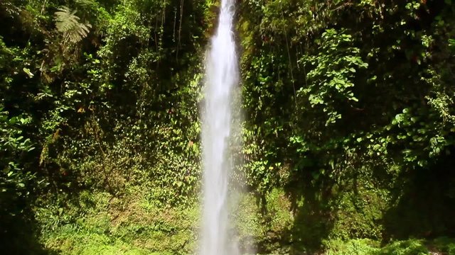 Capture breathtaking views of the Ecuadorian rainforest as you explore its important tourist attraction,from the lush bottom to the majestic top,creating unforgettable memories.