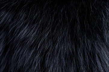 Background of dark fur