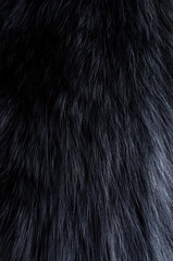 Background of dark fur