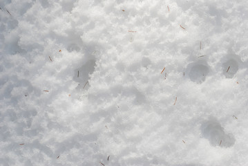 abstract winter snow pure white