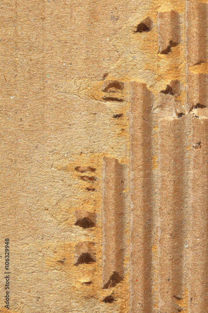 Poster Paper texture with tear for pattern