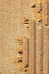 Paper texture with tear for pattern