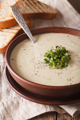 cream soup cauliflower and toast close up on the table. vertical
