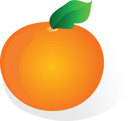 illustration cartoon orange vector file on white background