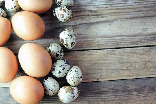 Chicken and quail eggs