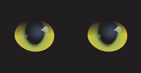 Eyes of wild cat. 