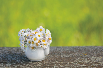 Wild daisy flowers in a small porcelain kettle vase