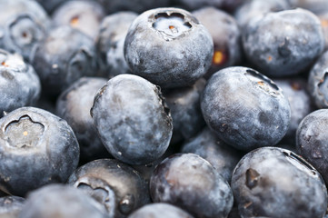 frische Blaubeeren 