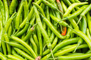 Green chilli background.