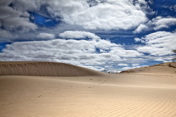 Sandduenen