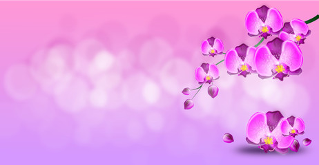 Obraz na płótnie Canvas Light pink background with purple orchid
