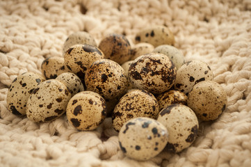 fresh quail eggs