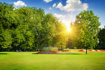 Obraz premium summer park with beautiful flowerbeds