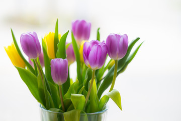 Tulpen Strauß in einer Vase am Fenster
