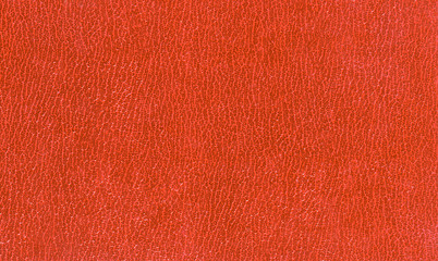 Leather texture