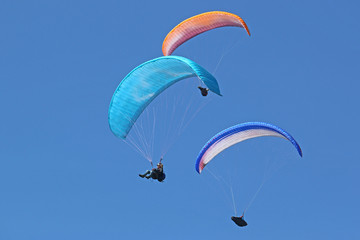Paragliders