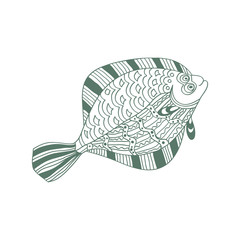 sketchy fish halibut in cartoon style on a white background