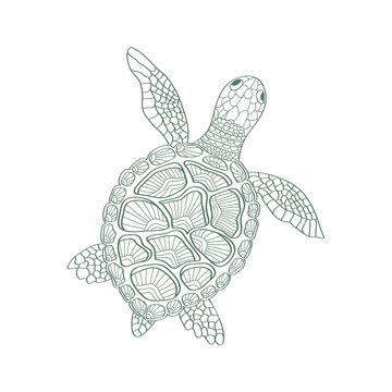 sketchy sea turtle in cartoon style on a white background