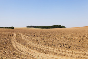 plowed land, summer  