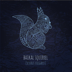 Baikal squirrel illustration in doodle style. Vector monochrome