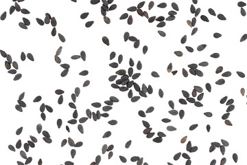 Sesame black seeds seamless pattern isolated on white background