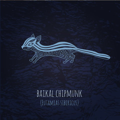 Baikal chipmunk illustration in doodle style. Vector monochrome