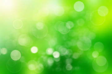 Obraz premium Green background blur.