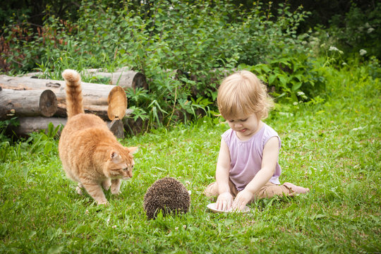 a girl, a hedgehog and a catNY DSC